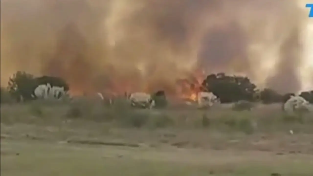 Se incendió un predio de las Fuerzas Armadas en Merlo