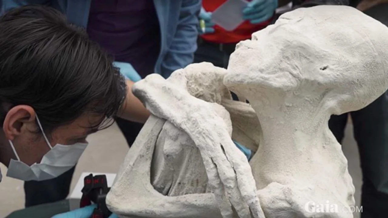 La momia de Perú, ¿era un alien?
