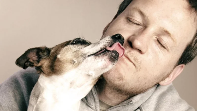 Un estudio descubrió la mejor manera de comunicarse con los perros