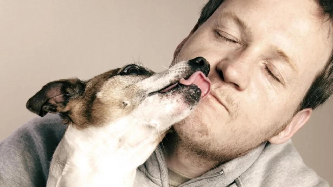 Un estudio descubrió la mejor manera de comunicarse con los perros