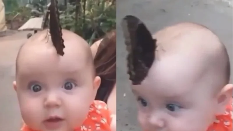 El tierno encuentro de una bebé y una mariposa