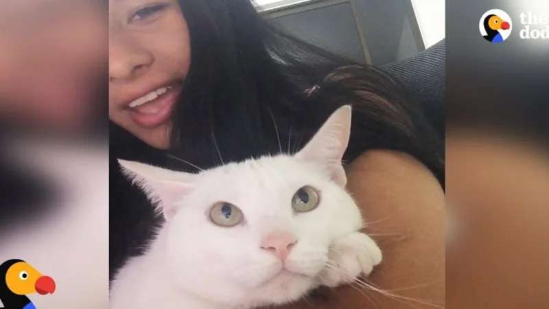 VIRAL: este gatito ayuda a su dueña a cantar