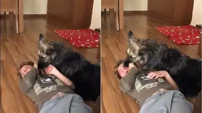 EMOCIONANTE: la ayuda de esta perra a su dueño autista EMOCIONANTE: la ayuda de esta perra a su dueño autista
