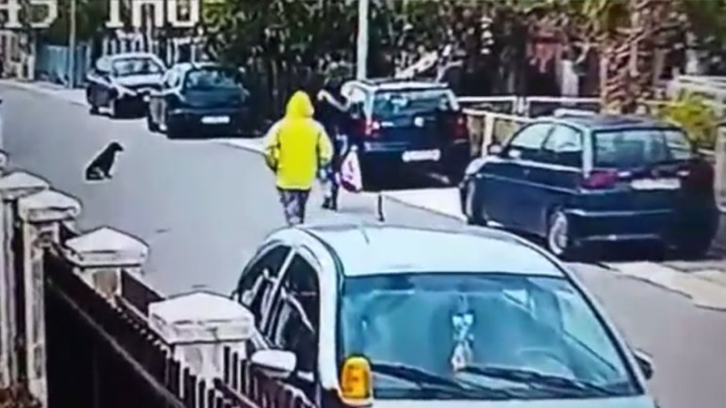 EMOCIONANTE: un perro salva a una mujer de un asalto