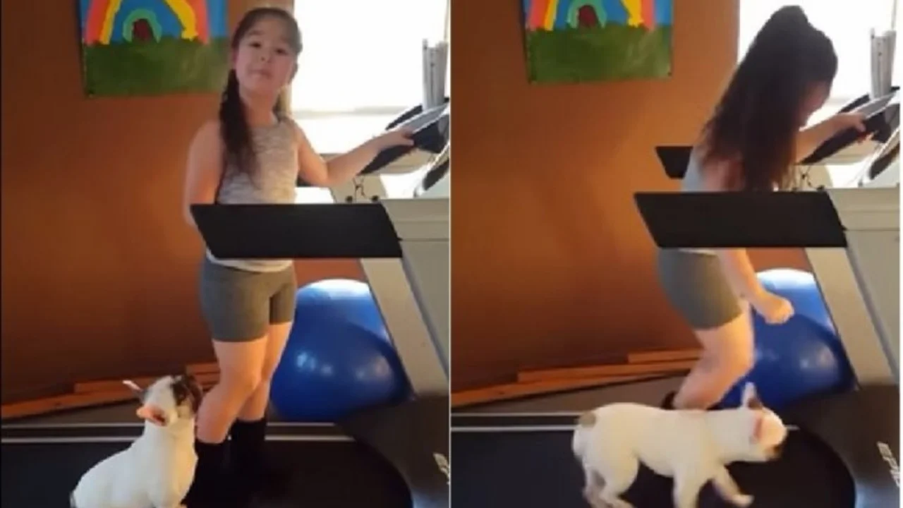 VIRAL: Un bulldog que se ejercita con su joven dueña