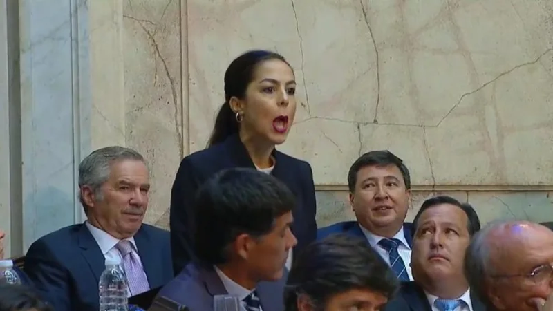 Sesiones ordinarias: la ex diputada Joana Picetti irrumpió en la sesión y se cruzó con Michetti