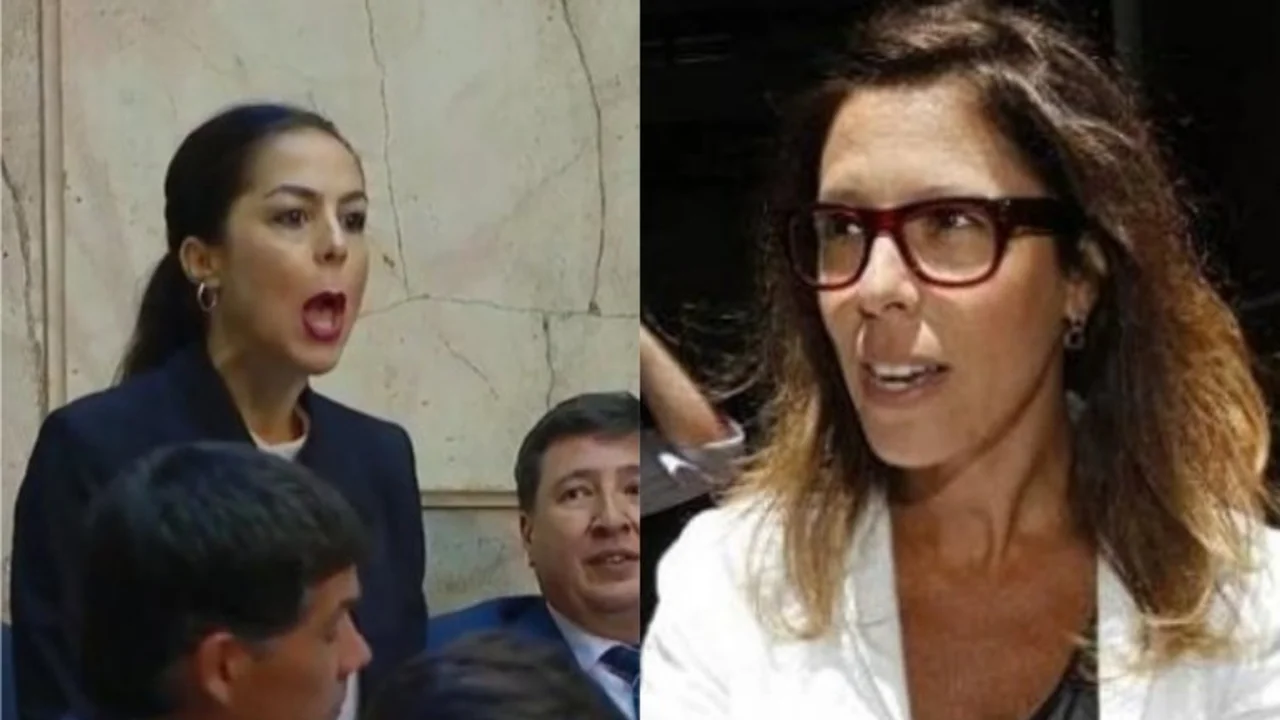 Sesiones ordinarias: Laura Alonso acusó a La Cámpora por lo que hizo una diputada de Cambiemos
