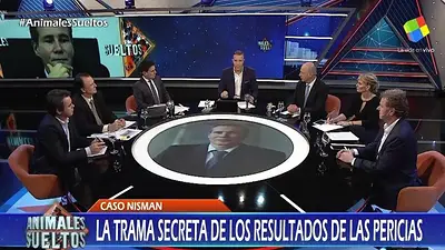 Las disparatadas teorías de Animales Sueltos por el temor a que gane Cristina Kirchner Las disparatadas teorías de Animales Sueltos por el temor a que gane Cristina Kirchner