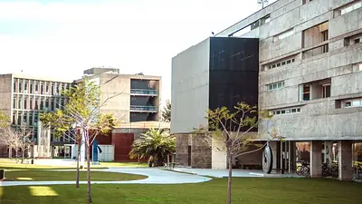 Una Universidad anunció que elaborará documentos en lenguaje inclusivo Una Universidad anunció que elaborará documentos en lenguaje inclusivo