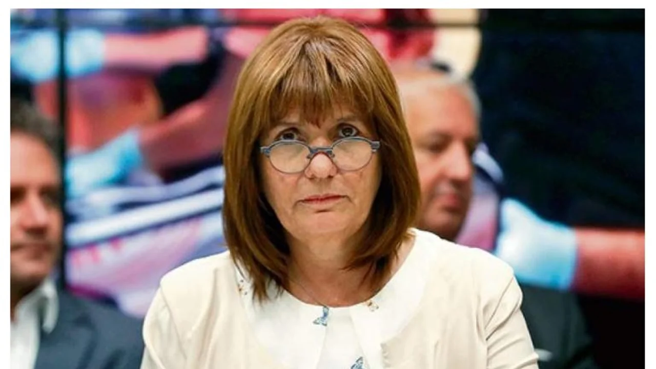 Patricia Bullrich sobre Marcelo D'Alessio: "Está loco"
