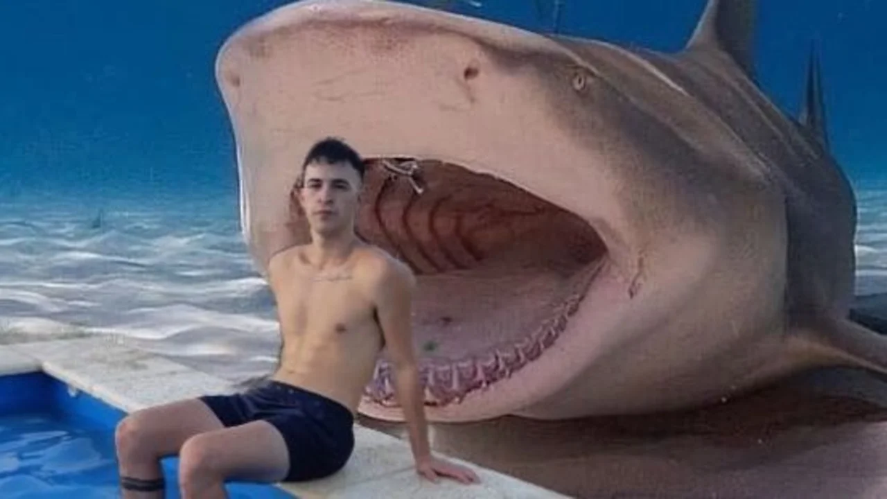 Viral en redes: se sacó una foto, tuvo un insólito pedido en Twitter y se convirtió en meme