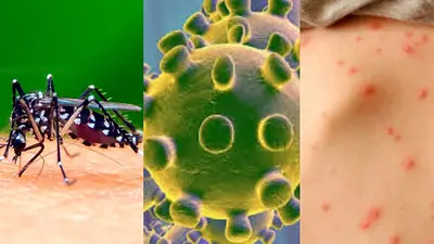 Coronavirus o Dengue: ¿qué enfermedad es más peligrosa para los argentinos? Coronavirus o Dengue: ¿qué enfermedad es más peligrosa para los argentinos?