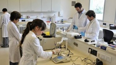 Identidad Científica Formosa: Insfrán lanzó una nueva beca doctoral clave el desarrollo