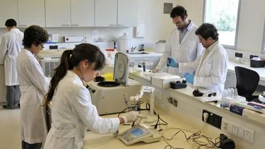 Identidad Científica Formosa: Insfrán lanzó una nueva beca doctoral clave el desarrollo