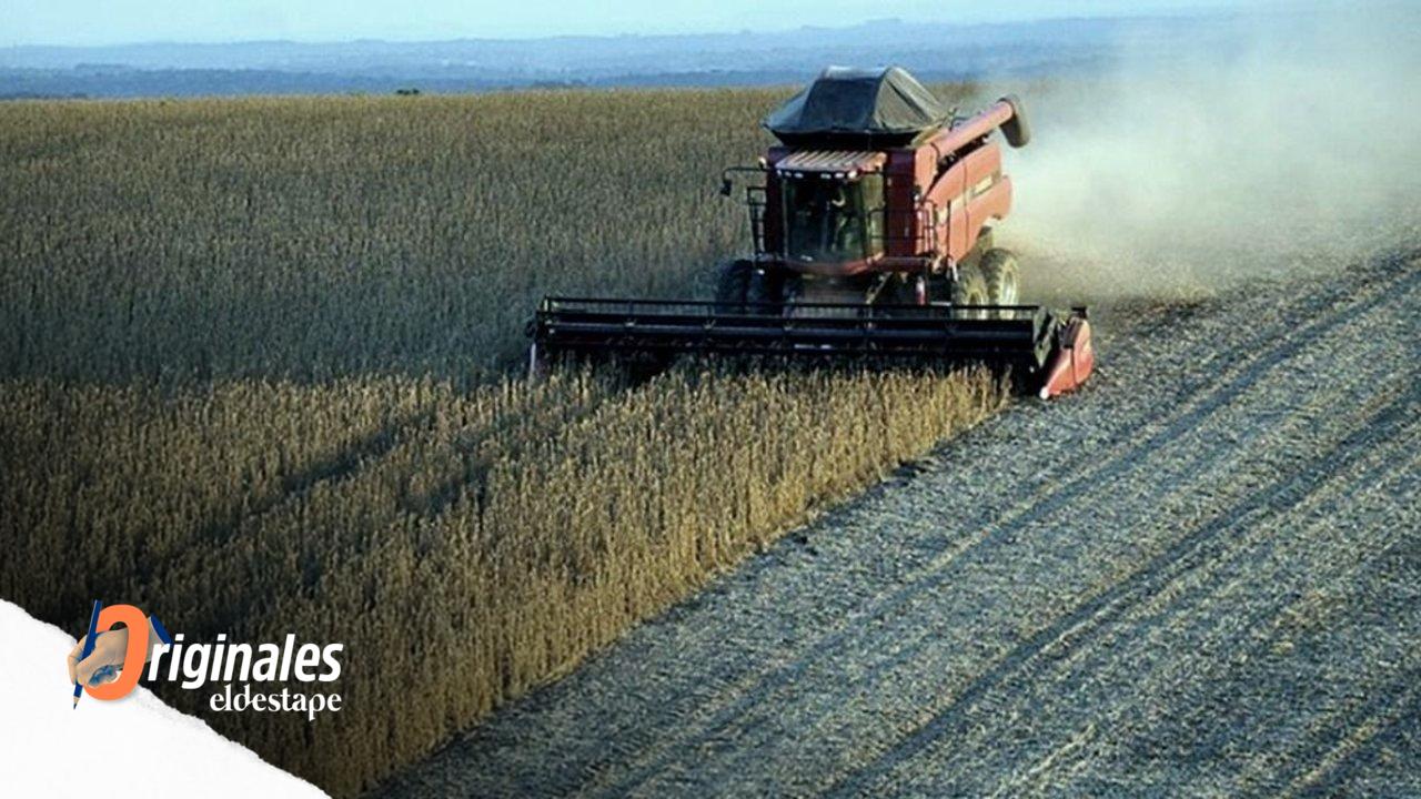 La respuesta del Gobierno al amparo de la Sociedad Rural por retenciones: “Las retenciones siguen vigentes”