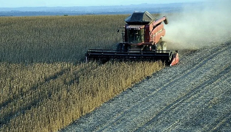 La pandemia no frenó las ganancias del campo