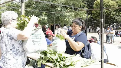 Alimentazo en la Ciudad y el Conurbano: productores reparten comida para protestar Alimentazo en la Ciudad y el Conurbano: productores reparten comida para protestar