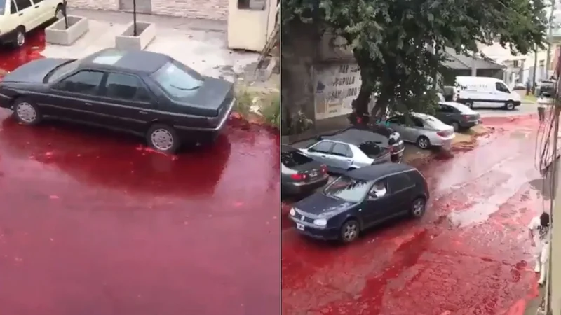 Morón: Un frigorífico derramó 500 mil litros de sangre en la calle