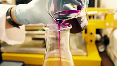 Avance en la medicina: descubren técnica revolucionaria que vuelve transparente a los tejidos Avance en la medicina: descubren técnica revolucionaria que vuelve transparente a los tejidos