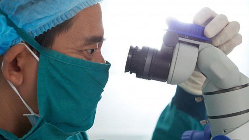 Coronavirus en fotos: así se ve el COVID-19 en el cuerpo humano