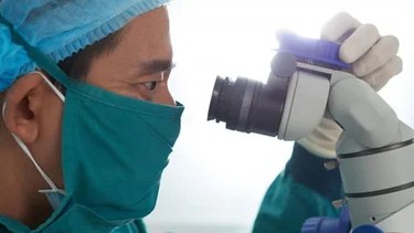 Coronavirus en fotos: así se ve el COVID-19 en el cuerpo humano