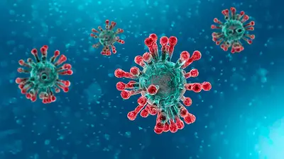 Trivias de El Destape: ¿Cuánto sabés sobre el coronavirus? Trivias de El Destape: ¿Cuánto sabés sobre el coronavirus?