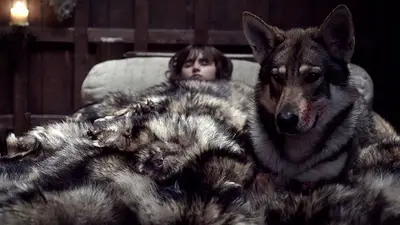 Murió Verano, uno de los protagonistas de Game of Thrones Murió Verano, uno de los protagonistas de Game of Thrones