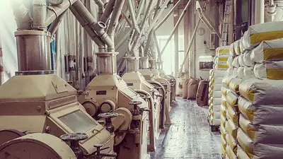 Molinos argentinos exportarán 10.000 toneladas de harina a Cuba tras 15 años sin envíos a ese país Molinos argentinos exportarán 10.000 toneladas de harina a Cuba tras 15 años sin envíos a ese país