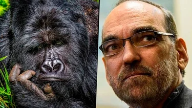 Los memes contra Fernando Iglesias tras su cruce con Alberto Fernández