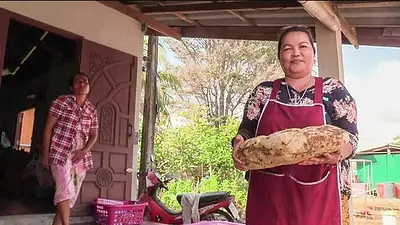 Siriporn Niamrin, de 49 años, una mujer tailandesa que tropezó con casi 260 mil dólares en vómito de cachalote Siriporn Niamrin, de 49 años, una mujer tailandesa que tropezó con casi 260 mil dólares en vómito de cachalote