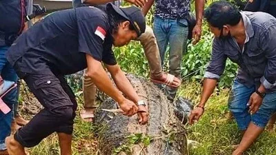 Sacaron el cuerpo de un nene de 8 años del estómago de un cocodrilo Sacaron el cuerpo de un nene de 8 años del estómago de un cocodrilo