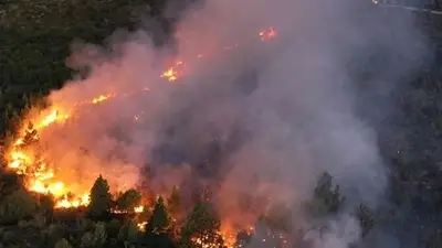 Evacuados y heridos por los incendios en el Sur Evacuados y heridos por los incendios en el Sur