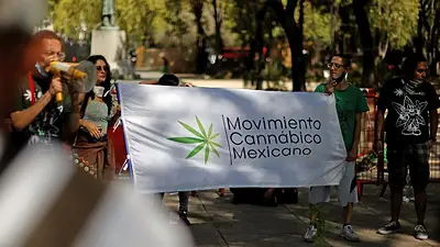 La Cámara de Diputados de México aprueba la legalización de la marihuana La Cámara de Diputados de México aprueba la legalización de la marihuana
