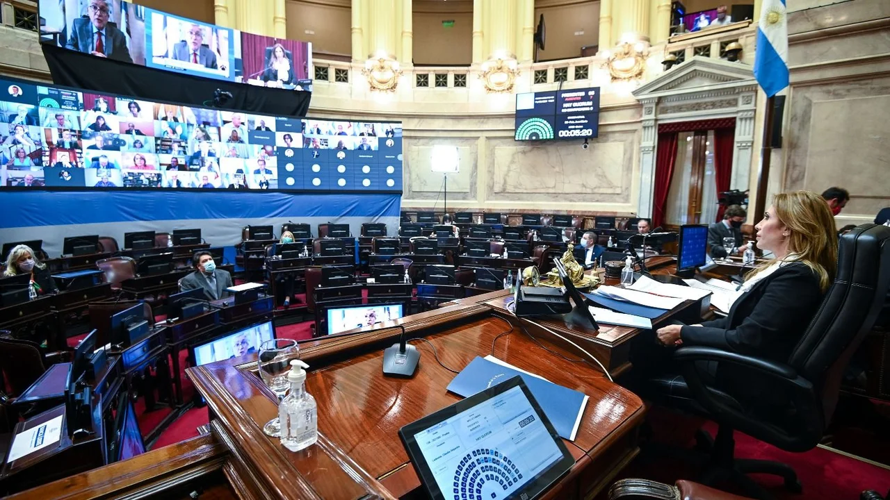 Senado nacional en sesión virtual 