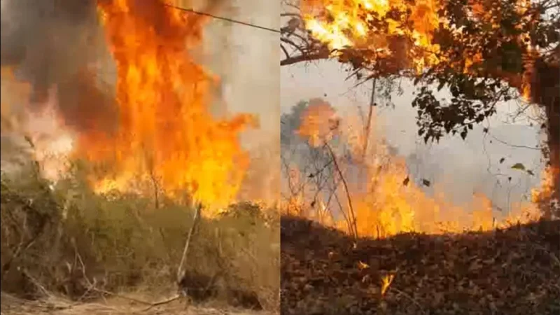 Incendio en las sierras de Tandil