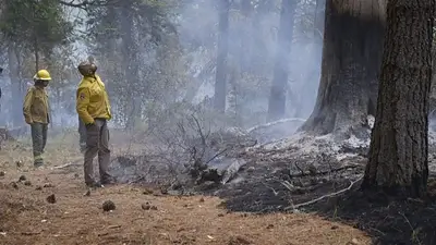El Gobierno enviará más vacunas contra el COVID-19 a la zona afectada en Chubut El Gobierno enviará más vacunas contra el COVID-19 a la zona afectada en Chubut