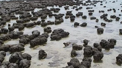 Hallan restos del océano de magma que cubrió la Tierra en rocas antiguas de Groenlandia Hallan restos del océano de magma que cubrió la Tierra en rocas antiguas de Groenlandia