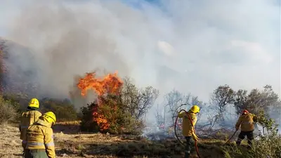 Incendios-Chubut Incendios-Chubut
