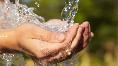 Dia del Agua Dia del Agua
