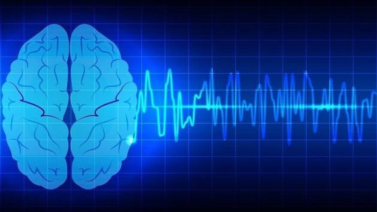 Científicos logran explicar por que los pacientes epilépticos tienen problemas de memoria