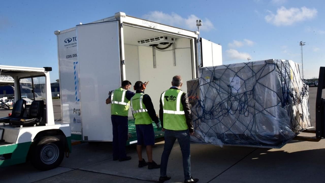 Llegaron más de 200 mil dosis de AstraZeneca del fondo global Covax