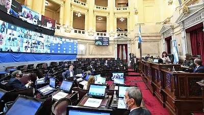 Dictamen positivo para que fondos del FMI se destinen a paliar la pandemia Dictamen positivo para que fondos del FMI se destinen a paliar la pandemia
