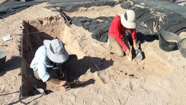 Momias de guacamayos en Atacama sorprenden a los especialistas