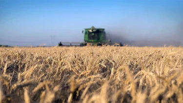 Por la guerra en Ucrania, el agro sumó 25% de ganancias en dólares