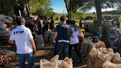 Campo- Córdoba-San Luis Campo- Córdoba-San Luis