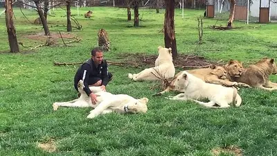La OMS advirtió sobre la transmisión de COVID entre humanos y animales salvajes La OMS advirtió sobre la transmisión de COVID entre humanos y animales salvajes
