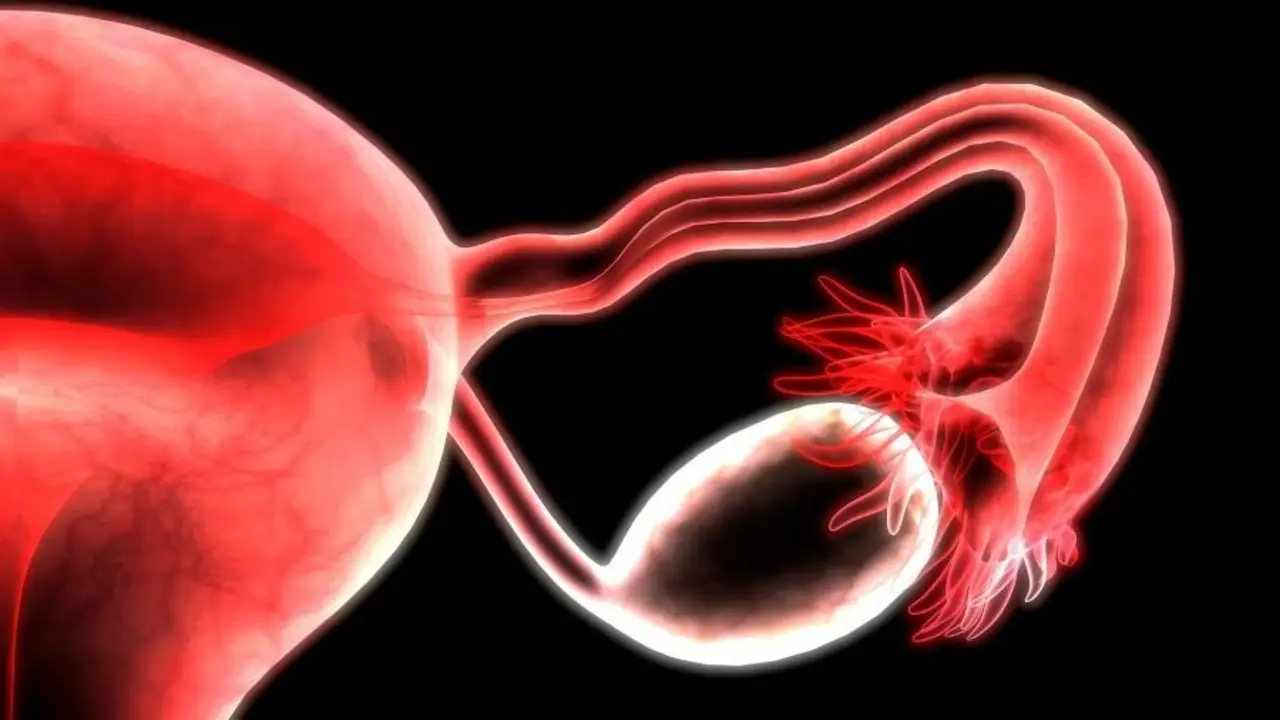 COVID-19: prueban que el virus afecta negativamente la función ovárica en mujeres