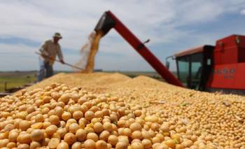 Con la inflación en alza, vuelve el debate por las retenciones | Comercio exterior