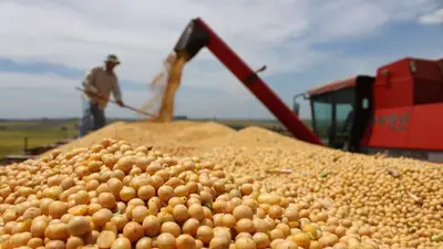 Agricultura aclaró que impuesto a la renta inesperada no alcanza al campo Agricultura aclaró que impuesto a la renta inesperada no alcanza al campo