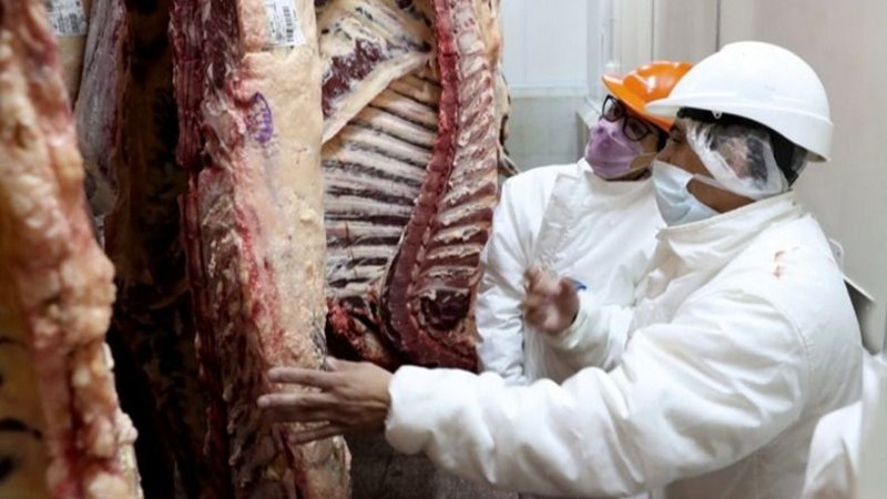 Alberto Williams sobre las exportaciones de carne